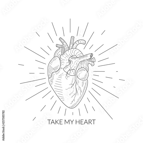 Take My Heart Quote, Human Heart Anatomical Sketch, Monochrome Hand Drawn Vector Illustration