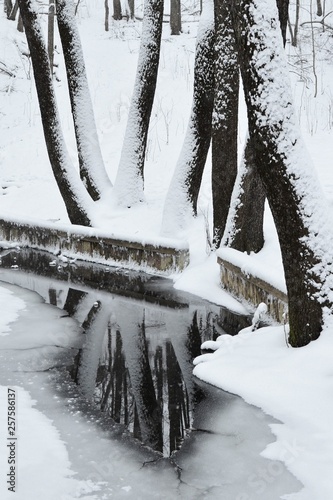 Creek in a snowy forest. Manor Karabiha.Yaroslavl photo