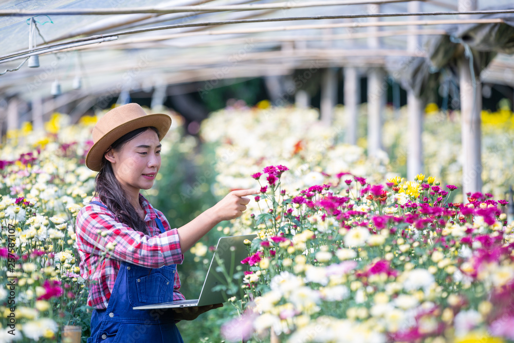 Agriculture is researching flower varieties, modern agricultural concepts.