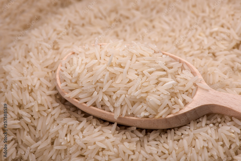 rice closeup. rice seeds. rice harvest rice closeup. rice seeds. rice harvest