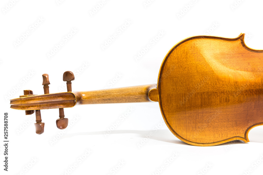 violin on white background violin on white background