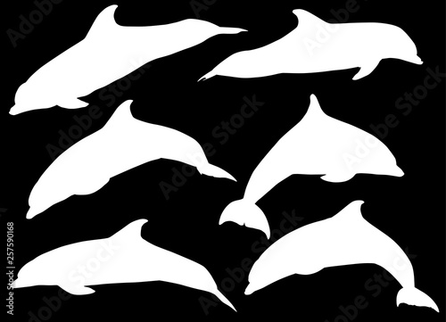 six white silhouettes of dolphins isolated on black