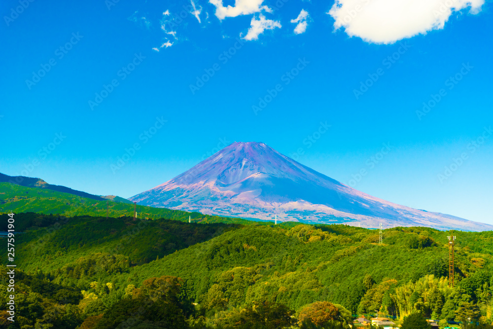 Fototapeta premium 夏の富士山