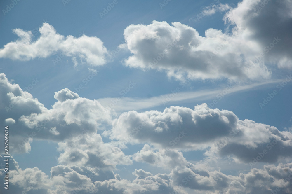 Fototapeta premium blue sky with white clouds
