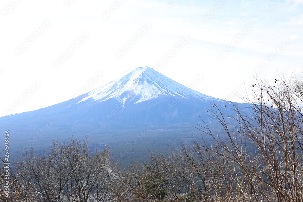 Japon décembre 2018