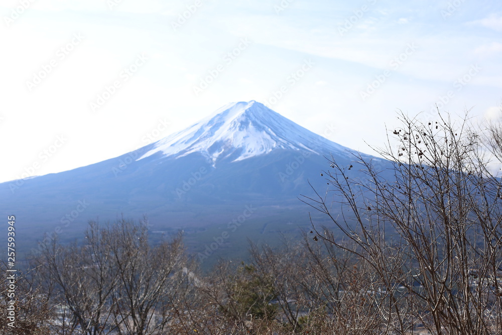 Japon décembre 2018