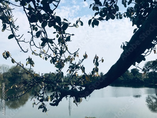 Asansol oldest pond photo