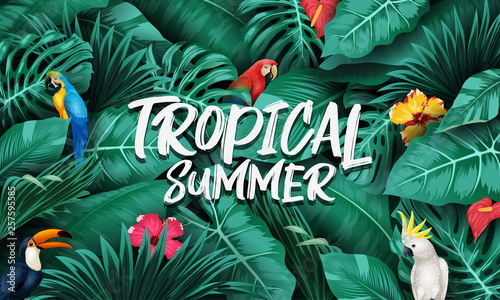 Tropical plants and birds collection set