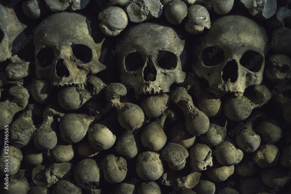 The tree Human skulls  on the bones background are in the dark catacomb night shoot