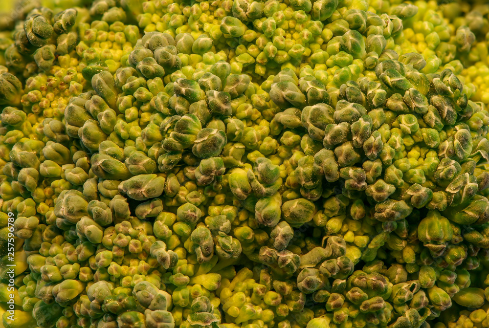 broccoli etail texture background,green healthy vegetables broccoli etail texture background,green healthy vegetables