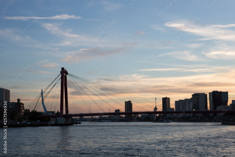 Silhouetted skyline of the modern city Rotterdam in The Netherlands with cable bridge at golden hour sunset