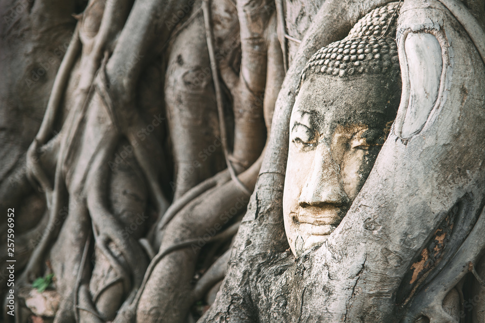 Sand Buddha head in tree roots Buddha sculpture in the middle day sun light in ancient Ayutthaya, Thailand. Sand Buddha head in tree roots Buddha sculpture in the middle day sun light in ancient Ayutthaya, Thailand.