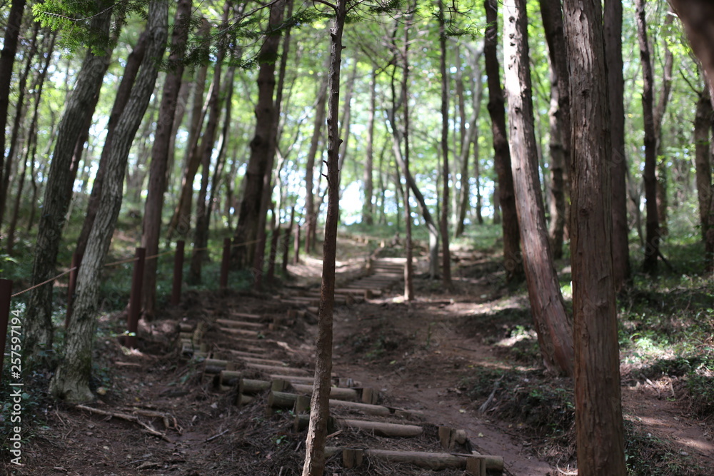 Fototapeta premium Corée du sud octobre 2018