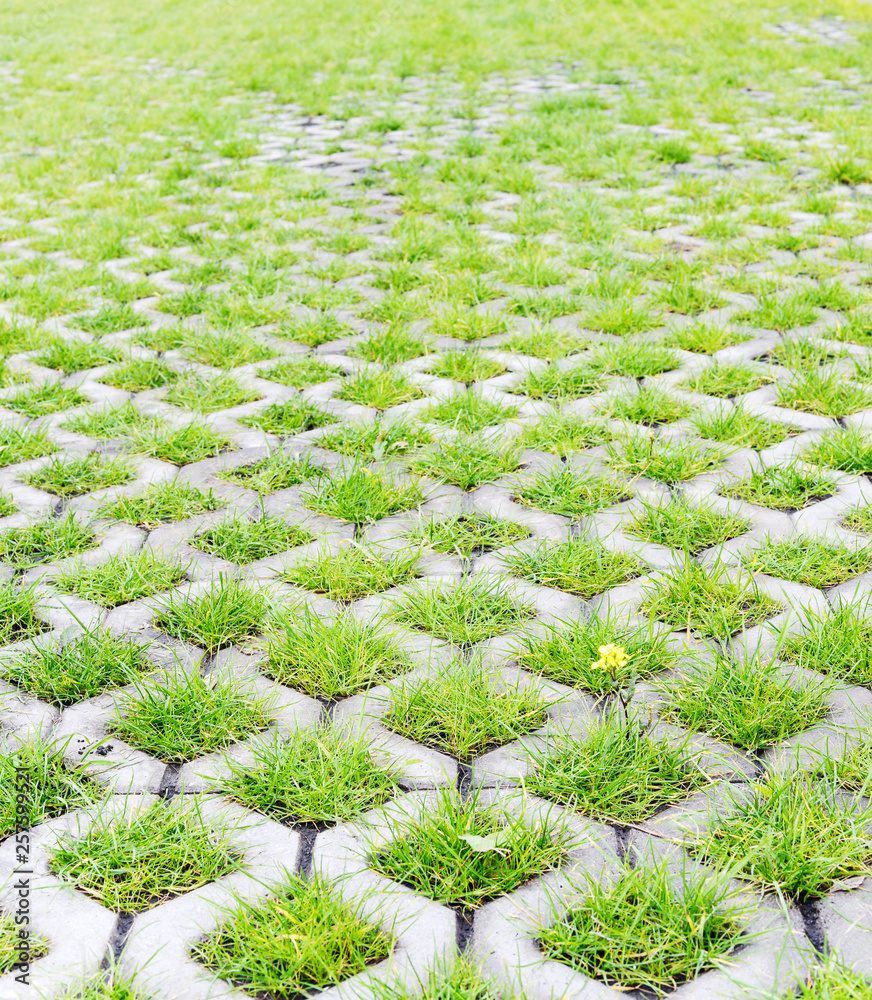 Eco-friendly parking with green grass Eco-friendly parking with green grass