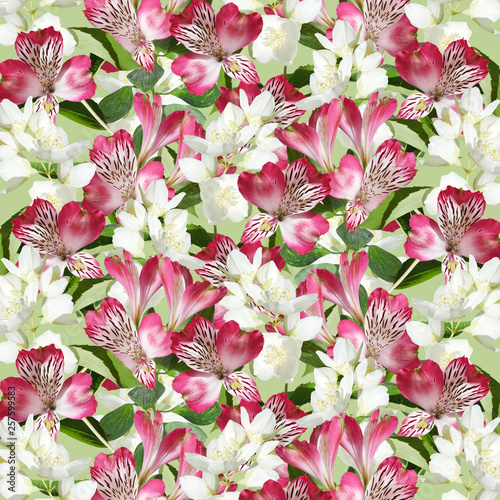 Beautiful floral background of Jasmine and Alstroemeria. Isolated 