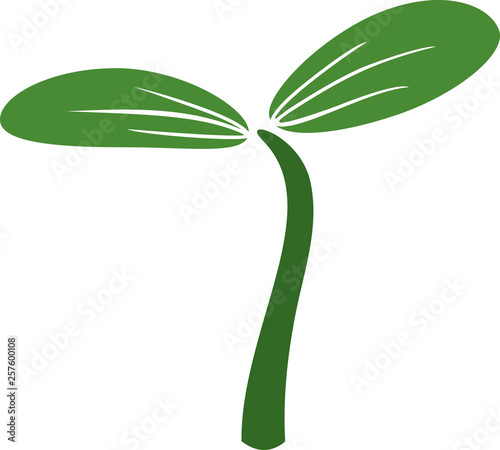 Sprout with two green leaves isolated on white background