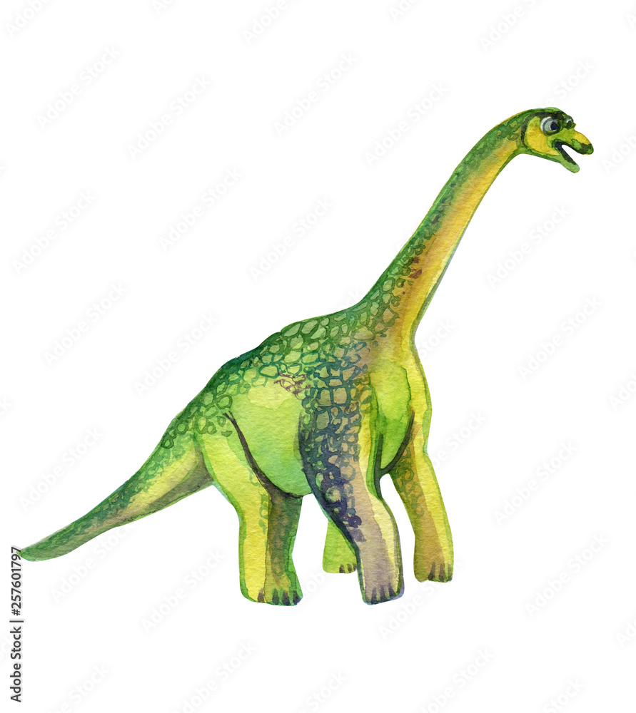dinosaur brachiosaurus cute watercolor illustration islated on white dinosaur brachiosaurus cute watercolor illustration islated on white