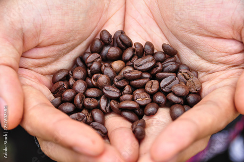 coffee bean on hand