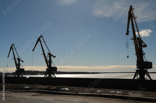  Cranes in the winter port