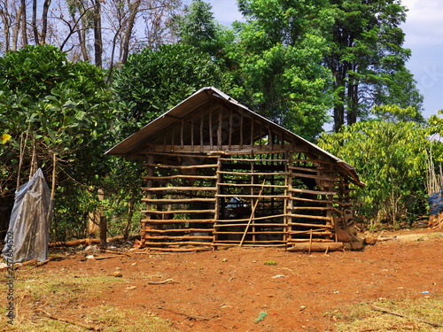 Laos village, Champassak photo