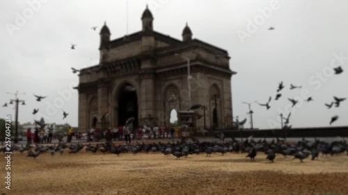 Shot during monsoon season in Mumbai. Pigeons are fed near Gateway of India. photo