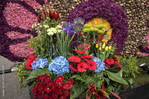 Fototapeta Naklejka Na Ścianę i Meble -   Floristic decorations  at the traditional flowers parade Bloemencorso from Noordwijk to Haarlem in the Netherlands