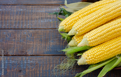 Ripe corn in a clay bowl. 