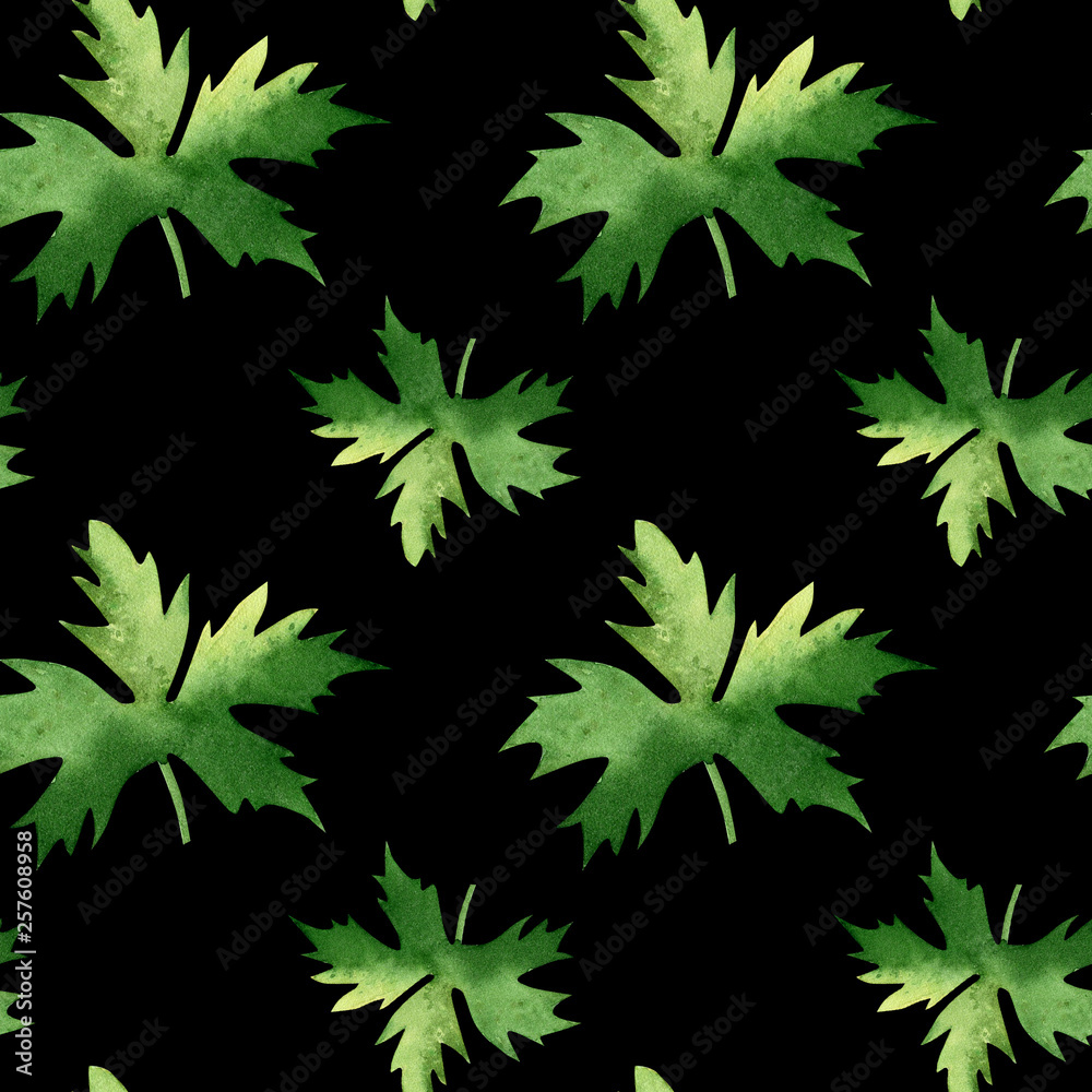 Simple seamless pattern with differents leaves on black background