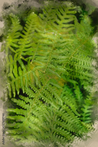 Watercolour painting of Close up image of lush green fern in Summer in forest