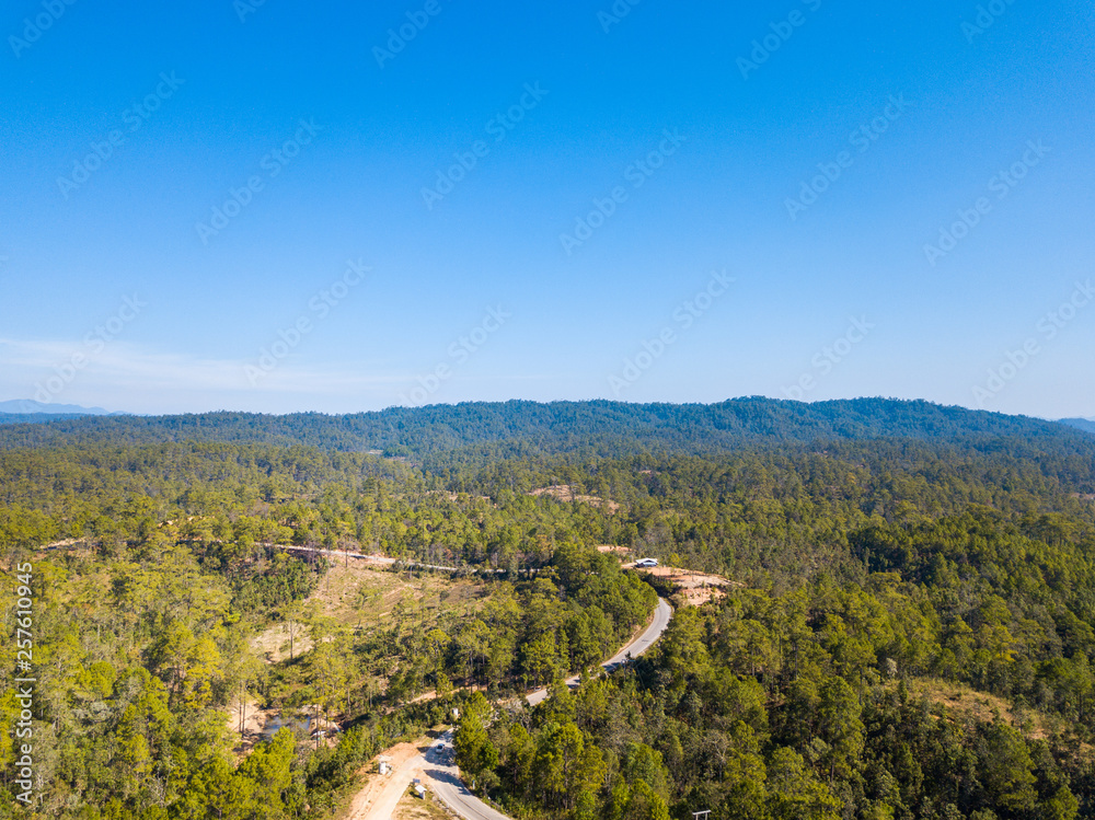 Aerial view forest and blue sky