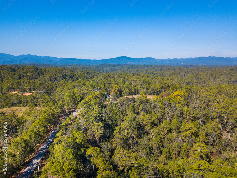 Aerial view forest and blue sky