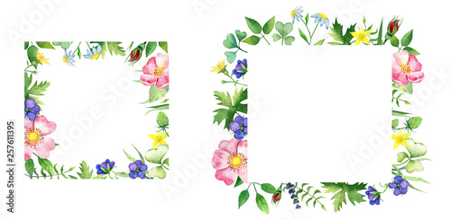 Floral square frames with dog-rose, wild flowers and green lives  