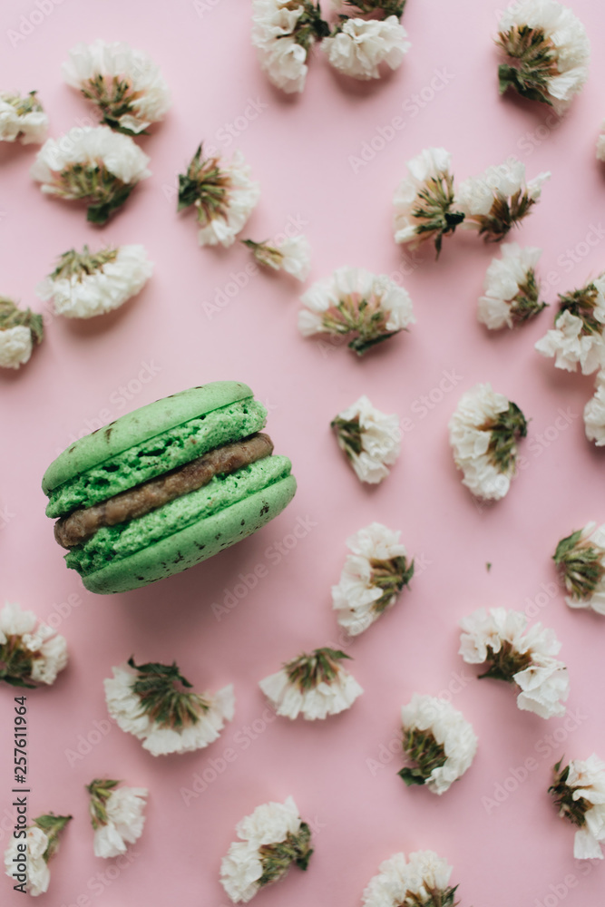 Composition of delicious macaroon and white flowers– stock image