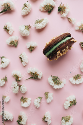 Composition of delicious macaroon and white flowers– stock image