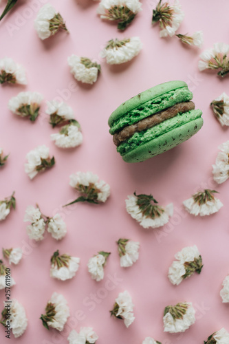 Wallpaper Mural Composition of delicious macaroon and white flowers– stock image Torontodigital.ca