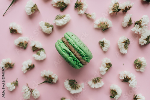 Composition of delicious macaroon and white flowers– stock image