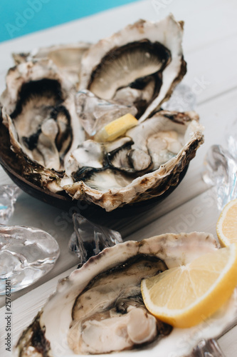 Delicious oysters with lemon, seafood delicacy