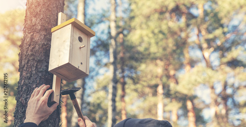 Valokuvatapetti ornithologist installing birdhouse on the tree trunk