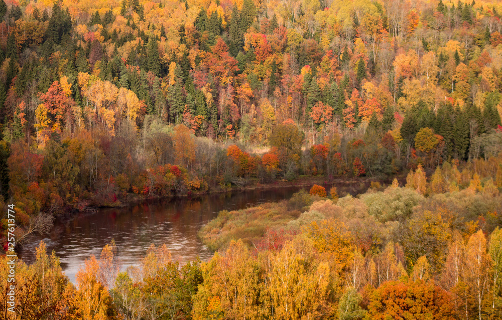 Autumn in Sigulda