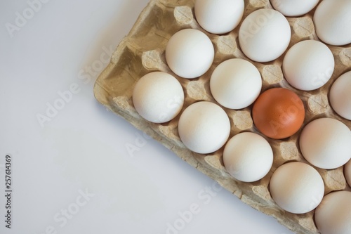 a tray with white eggs and one orange yellow egg stands out among them on a white background with free space on the left. White crow