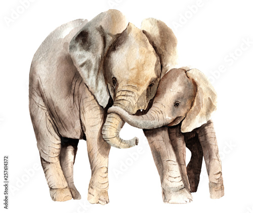 watercolor animals - african elephant with a kid