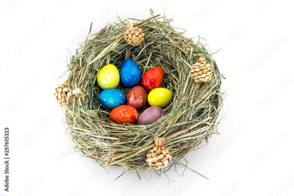 colored easter quail eggs in grass nest with bumps colored easter quail eggs in grass nest with bumps