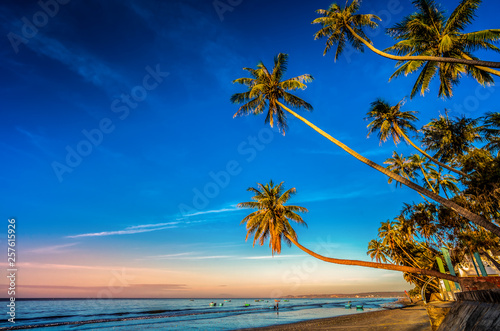 Summer tropical backgrounds set with palms  sky and sunset in Mui ne  Vietnam.  Summertime for travel and vacation