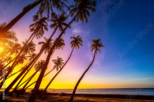 Summer tropical backgrounds set with palms, sky and sunset.  Summertime for travel and vacation