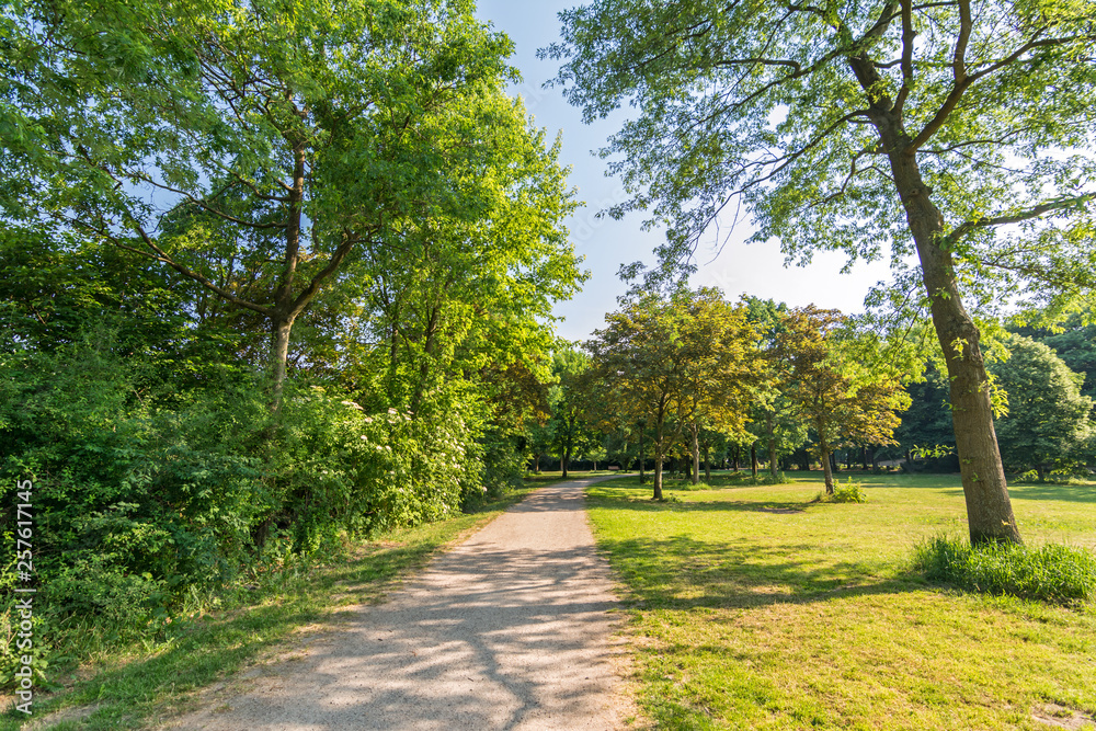 Idyllischer Weg durch einen Stadtpark mit Bäumen im Frühling