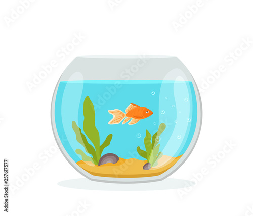 Vector aquarium golden fish silhouette illustration with water  seaweed  shells  sand bubbles.