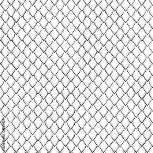 Snake Skin Black and White Seamless Pattern