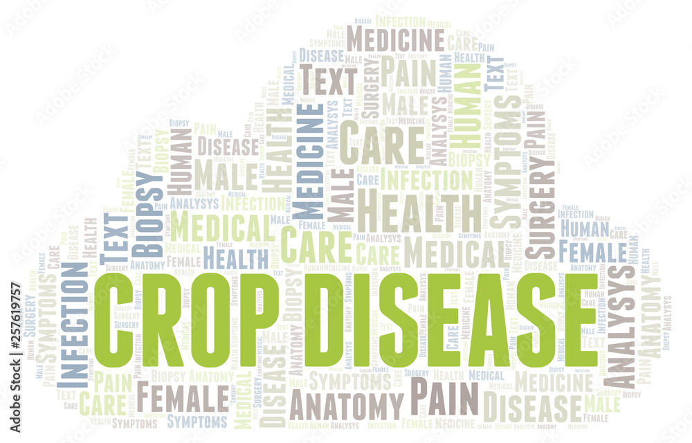 Obraz premium Crop Disease word cloud.
