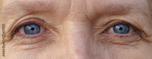 Blue eyes of an elderly woman in close up view