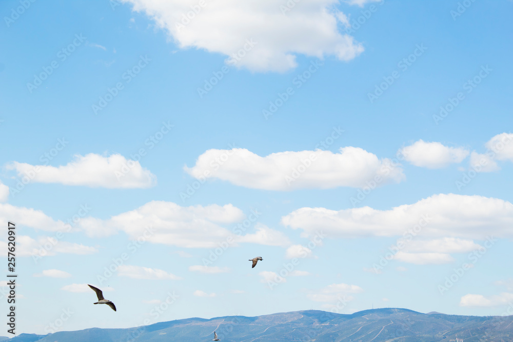 Obraz premium Sea and Mountains